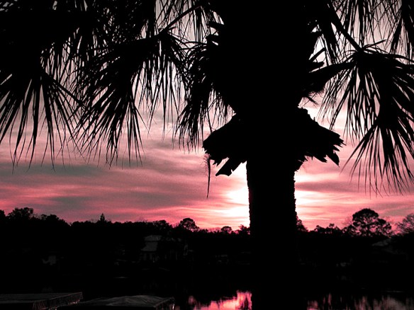 ???????????????????????????????